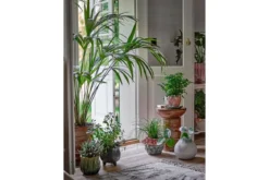 Beistelltisch Nola – naturinspiriert aus Mangoholz