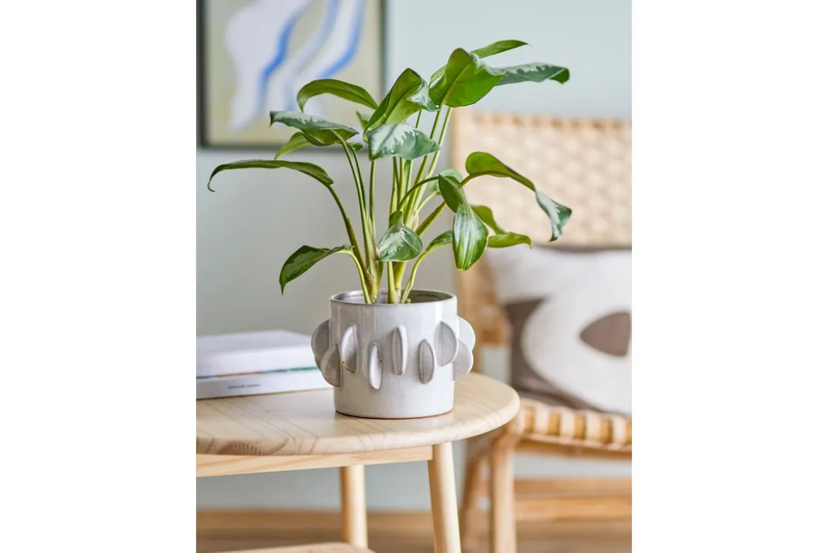 Blumentopf Eira – Skulpturales Steingutdesign in Weiß