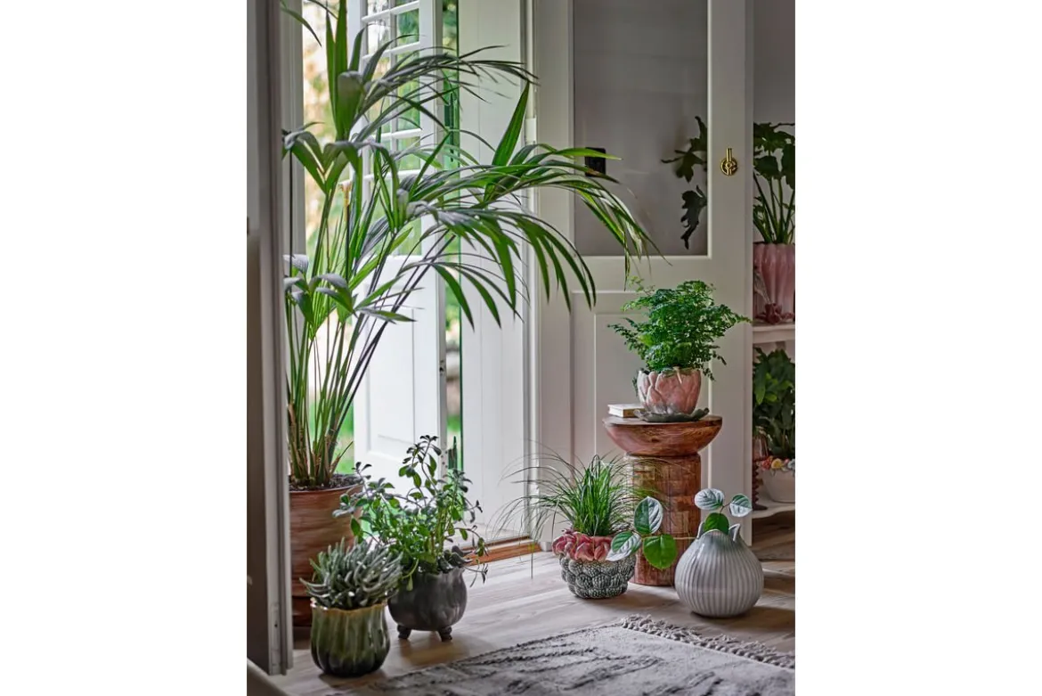Blumentopf Fiora – Steingut mit verspielten Vogeldetails