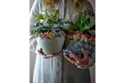 Blumentopf „Florena“ – Buntes Steingut