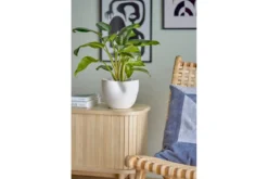 Blumentopf Ivalo – Modernes Steingutdesign in Weiß
