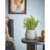 Blumentopf „Nerava“ – Graues Steingut
