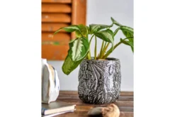Blumentopf Nikki – botanisches Muster