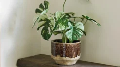 Blumentopf Noble - aus stilvoller Keramik