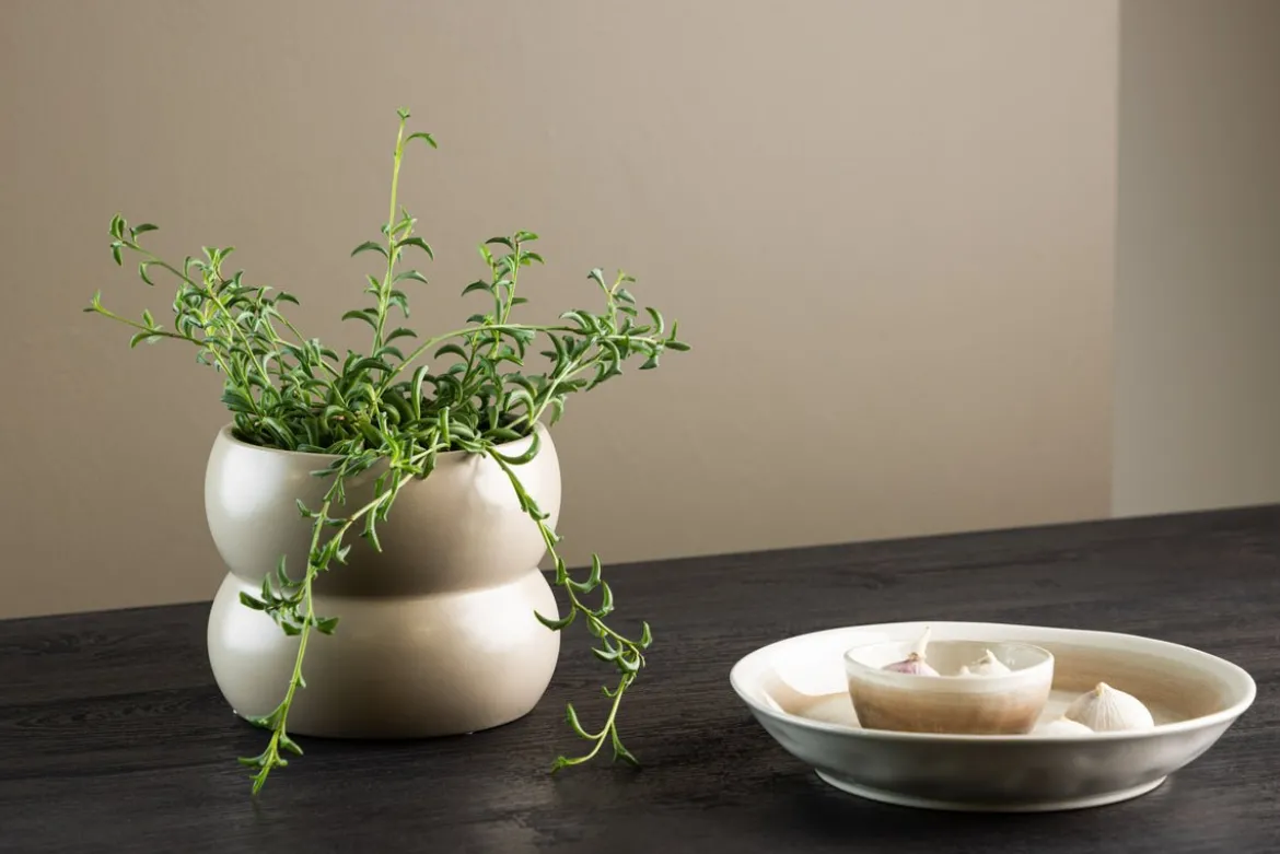 Blumentopf Orin - im dezenten Design aus Keramik