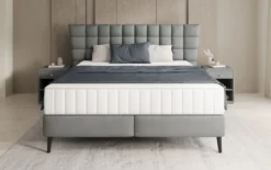 Boxspringbett Alvion in Echtleder