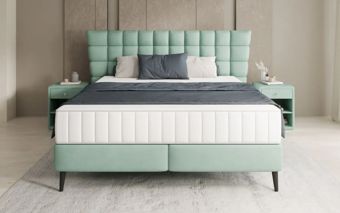 Boxspringbett Alvion in Echtleder
