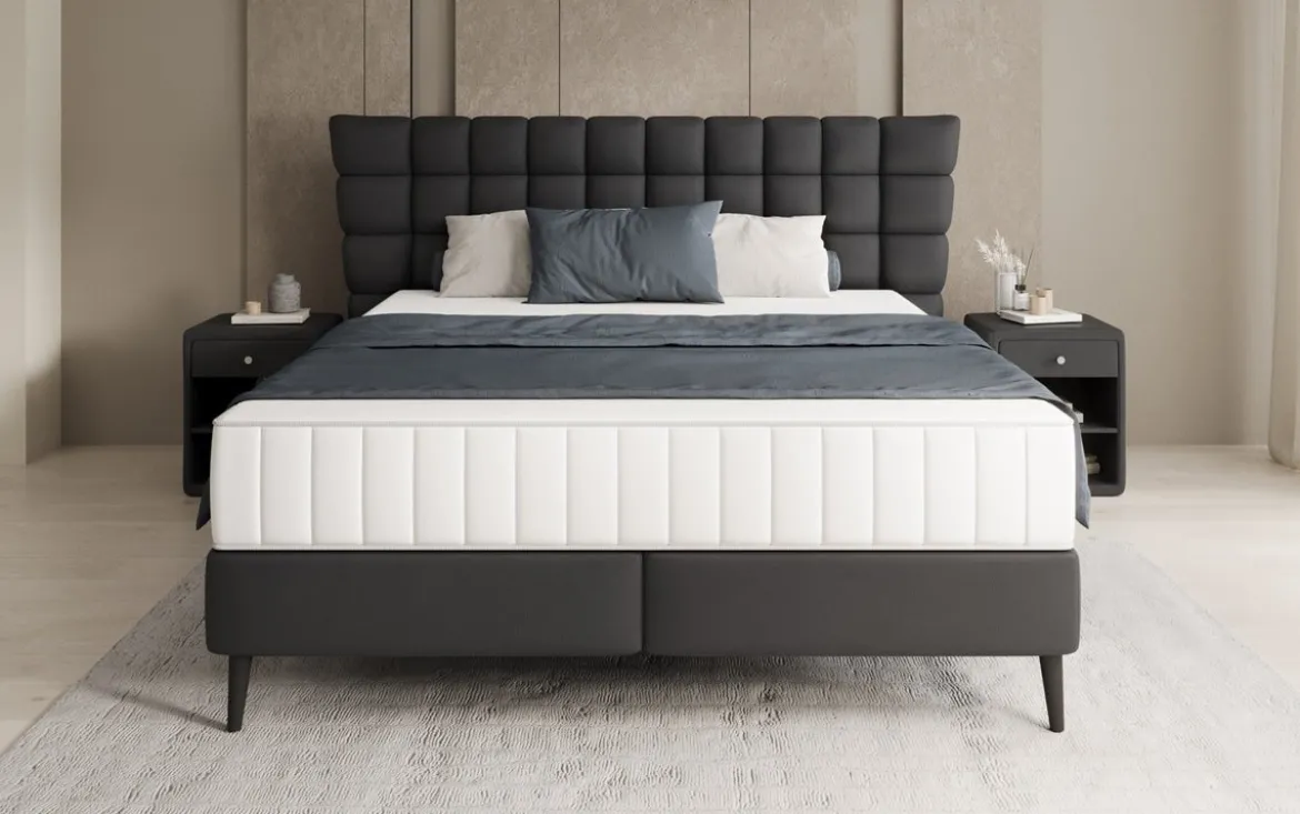 Boxspringbett Alvion in Echtleder