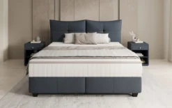 Boxspringbett Veyora in Echtleder