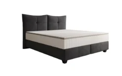 Boxspringbett Veyora in Samt