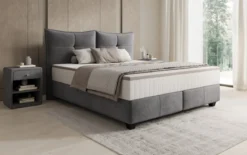 Boxspringbett Veyora in Samt