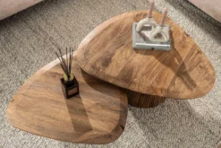 Couchtisch Arenza - 2er Set aus Mangoholz