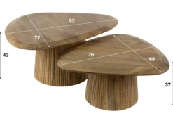 Couchtisch Arenza - 2er Set aus Mangoholz