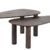 Couchtisch Dunara - 2er Set aus hochwertigem Teakholz in dunkelbraun