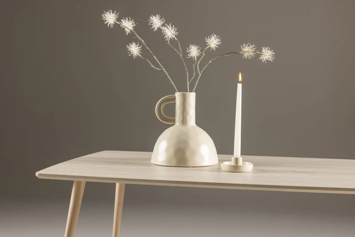Couchtisch Marvin - mit Whitewash Optik