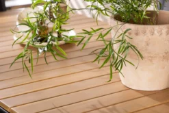 Garten Essgruppe Mirabell – 7-teiliges Gartenmöbel-Set mit Tisch aus Akazie und schwarzen Stühlen