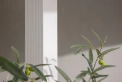 Garten Pavillon Cleo - mit weißem Polyesterdach