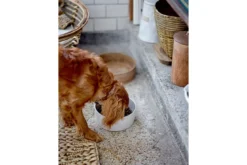 Haustierschale Benni – Steingut mit reaktiver Glasur