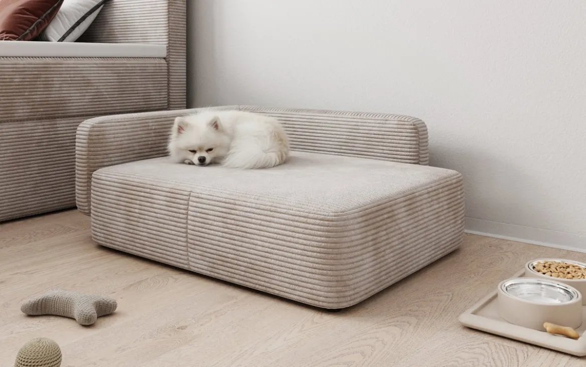Hundebett BelloCouch 80 × 60 cm in Cord