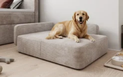 Hundebett BelloCouch 80 × 100 cm in Cord