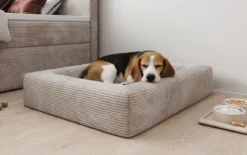 Hundebett Cordino 80 × 100 cm in Cord