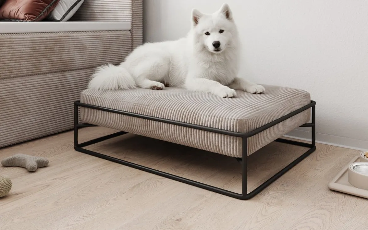 Hundebett Lumo 80 × 60 cm in Cord