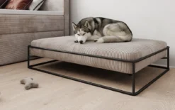 Hundebett Lumo 80 × 100 cm in Cord