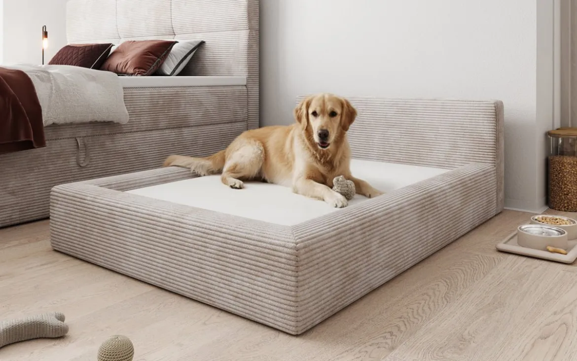 Hundebett LupoLounge 140x100 cm in Cord