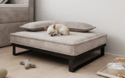 Hundebett Milo – 80×60 cm mit Cordbezug & Metallrahmen