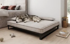 Hundebett Milo – 100x120 cm mit Cordbezug & Metallrahmen