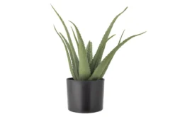 Kunstpflanze Aloeve - Höhe 61 cm