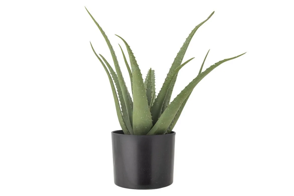Kunstpflanze Aloeve - Höhe 61 cm