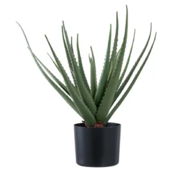 Kunstpflanze Aloe Vera – 51 cm pflegeleichter Klassiker im modernen Look