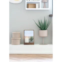 Kunstpflanze Aloe Vera – 51 cm pflegeleichter Klassiker im modernen Look