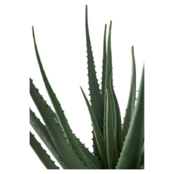 Kunstpflanze Aloe Vera – 51 cm pflegeleichter Klassiker im modernen Look