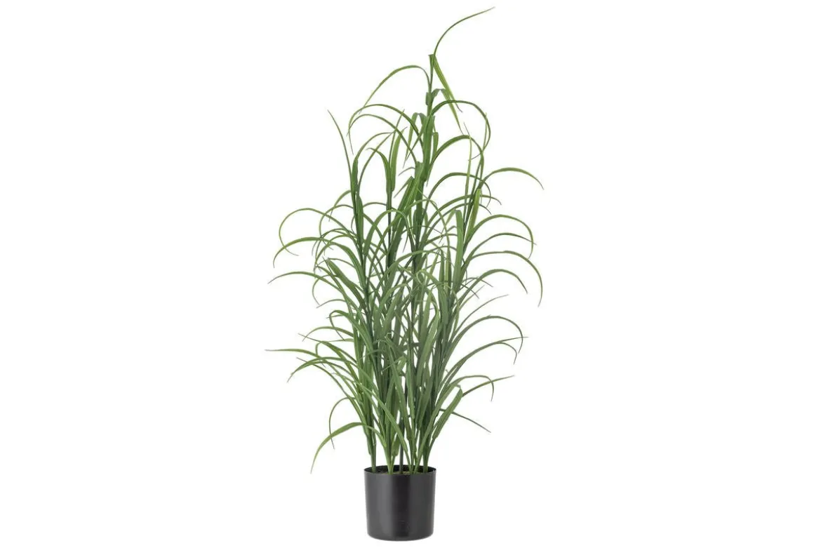 Kunstpflanze Botanic Grass - Höhe 92 cm moderner Gras-Look für ruhige, helle Räume