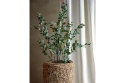 Kunstpflanze Eukalyptus Cali – Höhe 117 cm