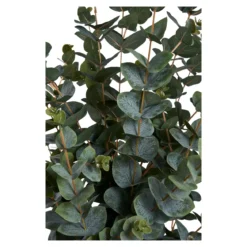 Kunstpflanze Eukalyptus – 120 cm eleganter Blattschmuck für dein Zuhause