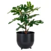 Kunstpflanze Feigenbaum – 60 cm mediterraner Charme für dein Zuhause