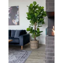 Kunstpflanze Fiddle Leaf Tree – 190 cm XL-Größe mit natürlichem Dschungel-Look