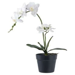 Kunstpflanze Orchidee – 49 cm elegante Blütenpracht für stilvolle Räume