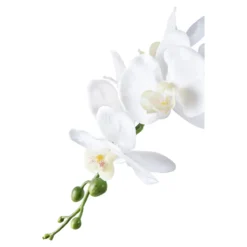 Kunstpflanze Orchidee – 49 cm elegante Blütenpracht für stilvolle Räume