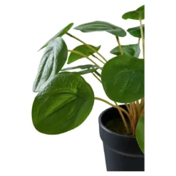 Kunstpflanze Pelia – 28 cm dekorative Frische im Miniformat