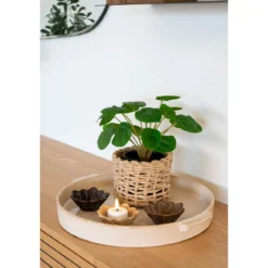 Kunstpflanze Pelia – 28 cm dekorative Frische im Miniformat
