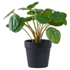 Kunstpflanze Pelia – 28 cm dekorative Frische im Miniformat