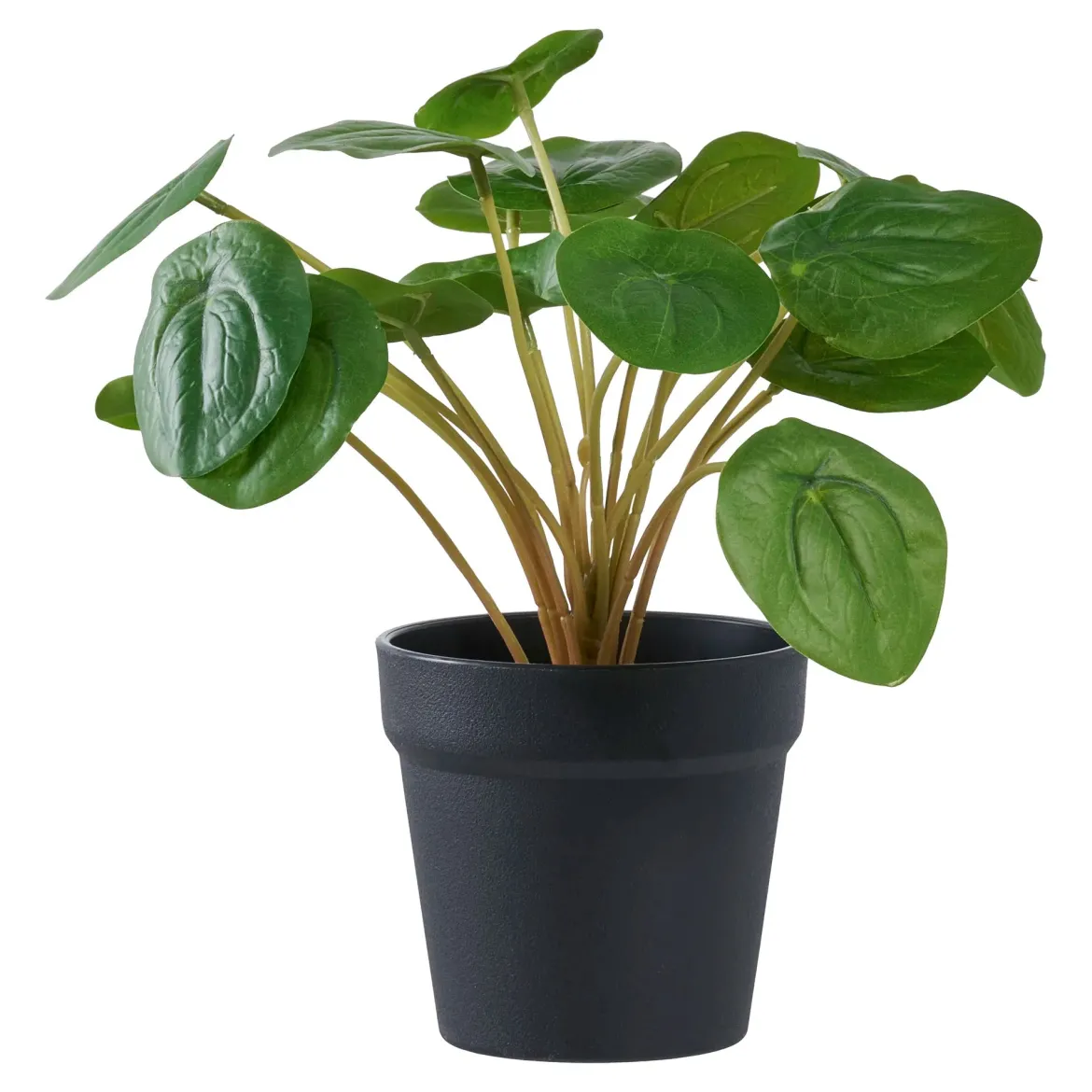 Kunstpflanze Pelia – 28 cm dekorative Frische im Miniformat