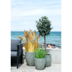 Kunstpflanze Poa Gras – 68 cm luftiger Look für moderne Räume
