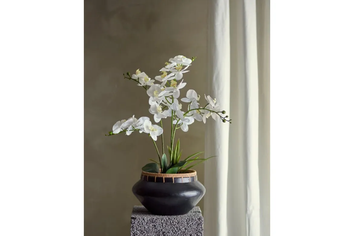 Kunstpflanze White Nola - 84 cm