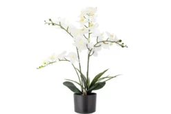 Kunstpflanze White Nola - 84 cm
