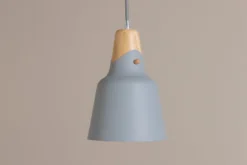 Pendelleuchte „Elegance